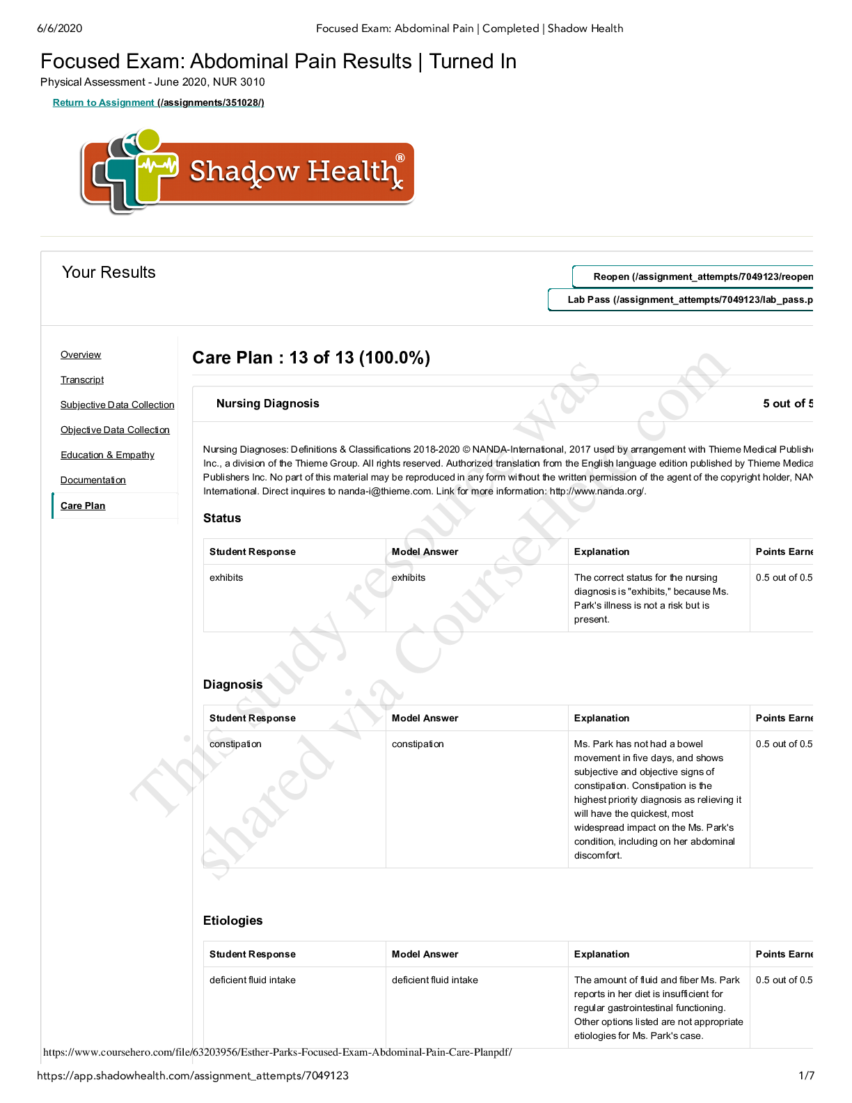 Esther Parks Focused Exam Abdominal Pain Care Plan Browsegrades